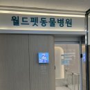 윤쌤동물병원 이미지