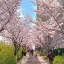 구천동한의원 이미지