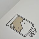 판나코타? 우유푸딩 ? 푸댱 ! 🐱