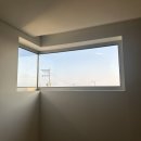 금붕농장 | [월간일기8] 240506(26주0일) - 240609(30주 6일)