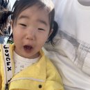 31140-9-33-18 | 에버랜드 33개월 아이랑 주말 오픈런 방문 후기