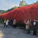 강변도로 이미지