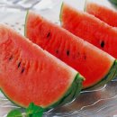 로또담배 이미지