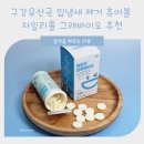 파란바이오 | 구강유산균 입냄새 제거 츄어볼 자일리톨 그래바이오 추천