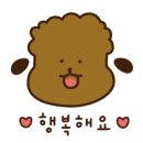 앤애견샵 이미지