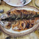 참좋은친구들 | 26.3.14~3.15 2R 제주 여행+원정 1일차 후기!