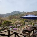 산아래물가에서 이미지