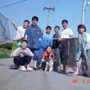 거제도 북동부 Daum카페