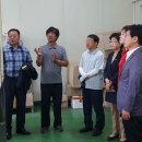 거문도해풍쑥힐링체험장