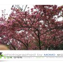 아리따움경남 - 사천시 읍내1길 45 | 아리따움경남