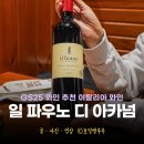 지에스25(GS25) 관평세이점 | GS25 와인 추천 이탈리아 레드 와인 일파우노 디 아카넘 시음 후기 토스카나 와인