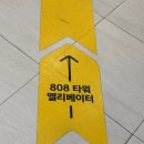 건치치과기공소 | 무삭제 라미네이트 블랙필름 가격 부터 후기까지