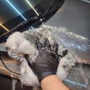 파파워시존 이미지