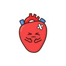 시니어 동물병원 이미지