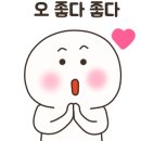 365일매일가스