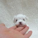 (주)아라마루 이미지