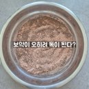 주성카센터 | 수험생 한약, 보약 이것만은 조심하세요 [주의사항, 선택방법]