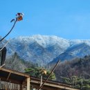 어느 작가의 방 이미지