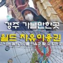 고미마을회관 네이버블로그