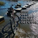 수동골 Daum카페