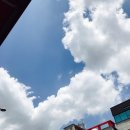 5월 하나 :: 갓챠, 깐튀남, 쿠키빈, 르로제, 전대 이노헤어, 조대 장미축제, 광주 토끼정