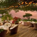 방앤피그 이미지