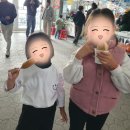 올랑고디또 이미지