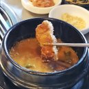 판포야채