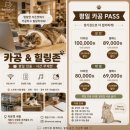 세종시 아이와 실내 가볼만한곳, 보람동 라온캣 고양이카페 세종점 대만족 후기