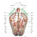 발지압점 상세도 그림 이미지