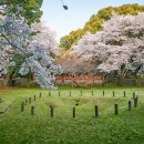 동광로9길 3 이미지