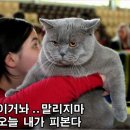 간다간다뿅간다