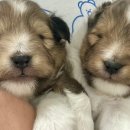 레디에이트(RADIATE) 이미지