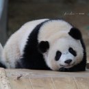 씨제이올리브영(주)송내로데오점 | 한남동 더트러플베이커리, 숙대 서울목해장국, 올리브영 택배분실, 팁토우 머메이드티어스, 신혼집 계약...