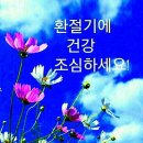 이천약초건강원