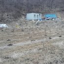 실로암 3농장 이미지