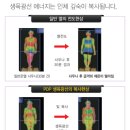 바이오포톤테라피 이미지