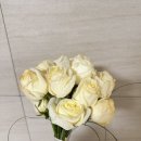 도도플레르 - 구로구 중앙로1길 42 | 도도플레르