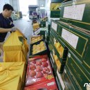 농수산물도매시장 과일동_1 이미지