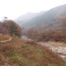 토종성황림마을 이미지