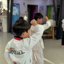 한국체대 국가대표 태권도 | 구래동 유아 태권도 vs 초등부 태권도, 무엇이 다를까? 연령별 맞춤 프로그램 전격 비교 분석