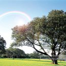 벌교원동 이미지