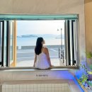 스테이매자미 이미지