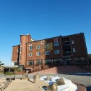 로또닭갈비 | 테르메덴 지산스키장 맛집 이천 엄지장수촌 닭갈비해물찜 소짜 후기