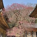 준성리조트 이미지