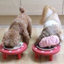 앙꼬맘마 이미지