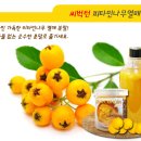 (주)비타민나무 네이버블로그