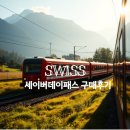 마담PC | 스위스 세이버데이패스 SBB 예매방법, 가격, 아이 티켓 총정리 예약후기