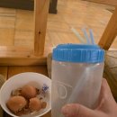 소원목욕탕 | 요새 보기 힘든 24시간 연산 해수피아 찜질방! 아들 소원 성취 후기