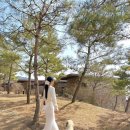 호텔나인스톤 | 포레스트리솜, 빌라형 레스트리,포레스트비교 정리,헤브나인 스파, (스톤스파예약Tip), 디너